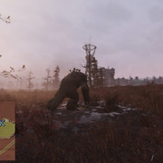 81