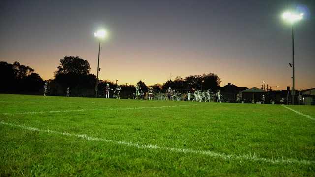 DSC08993.jpg