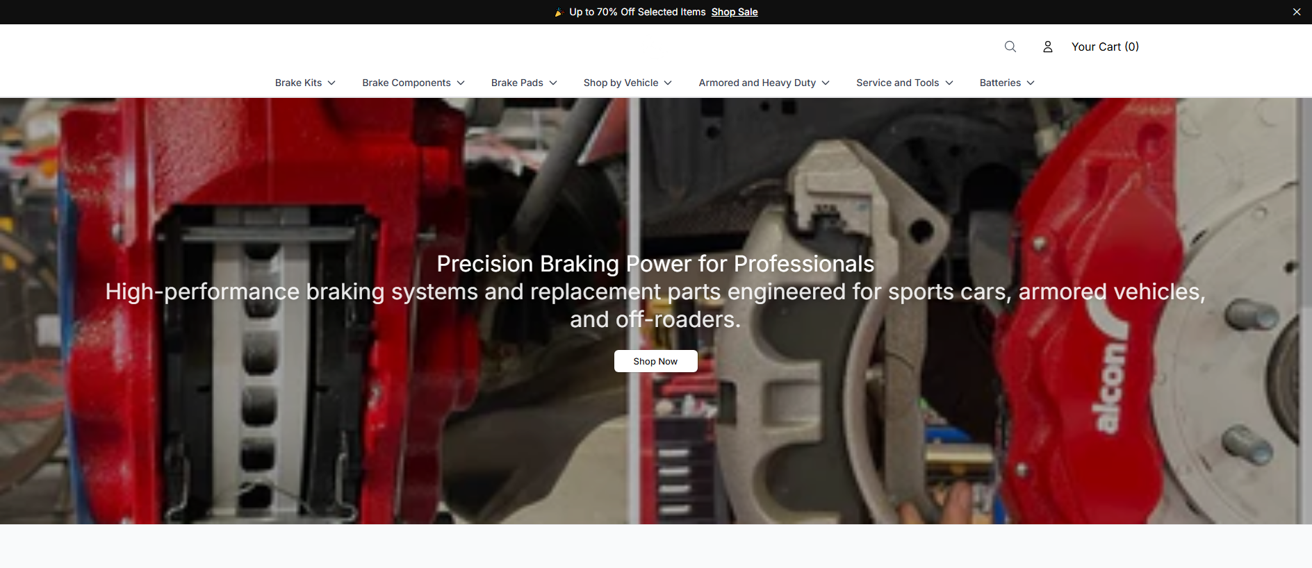 Stored capture of alconbrakekits.shop