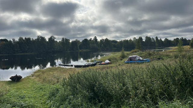 IMG 5298.jpg