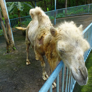 DSC00190