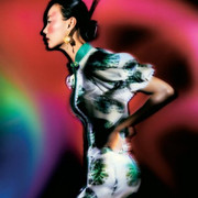 rosa-vu8