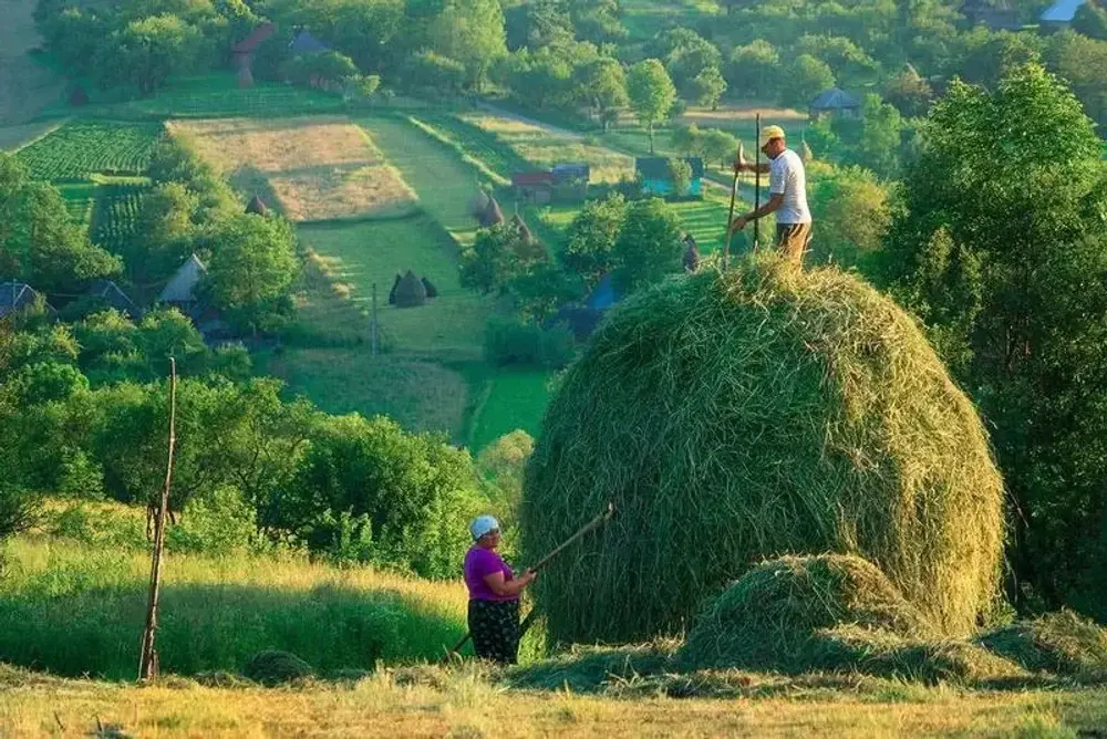 Turiștii străini găsesc cazare și masă gratuite în satele din România