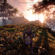 screenshot5.png