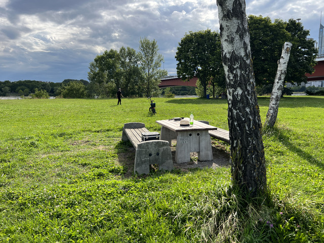 IMG-8731
