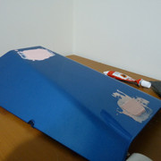 PC-Project-49