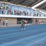 IMG 0339