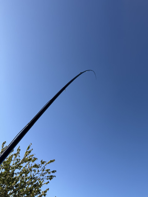 IMG-0407