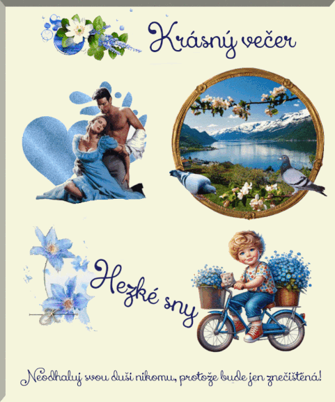 r881ccvchsp