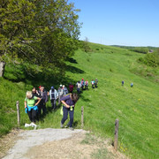 DSC04802