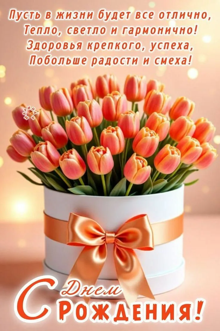 https://i.ibb.co/rGgmnHSP/IMG-5159.webp