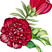 9c7086d9cdb57bfb4551efa32fd28c30