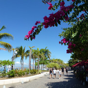 P1100317