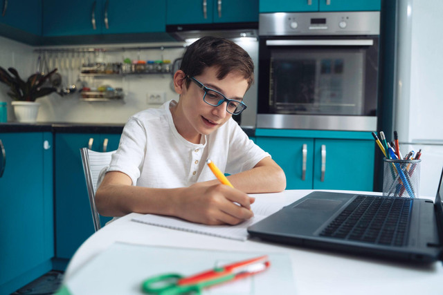 Boy studying at home
