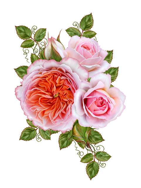 shutterstock-665621146.jpg