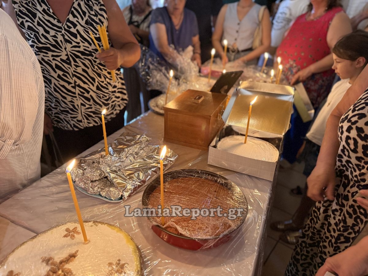 IMG 4884