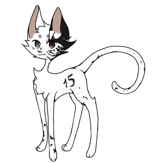 Kvj C (2).png
