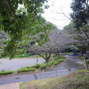 P1350359