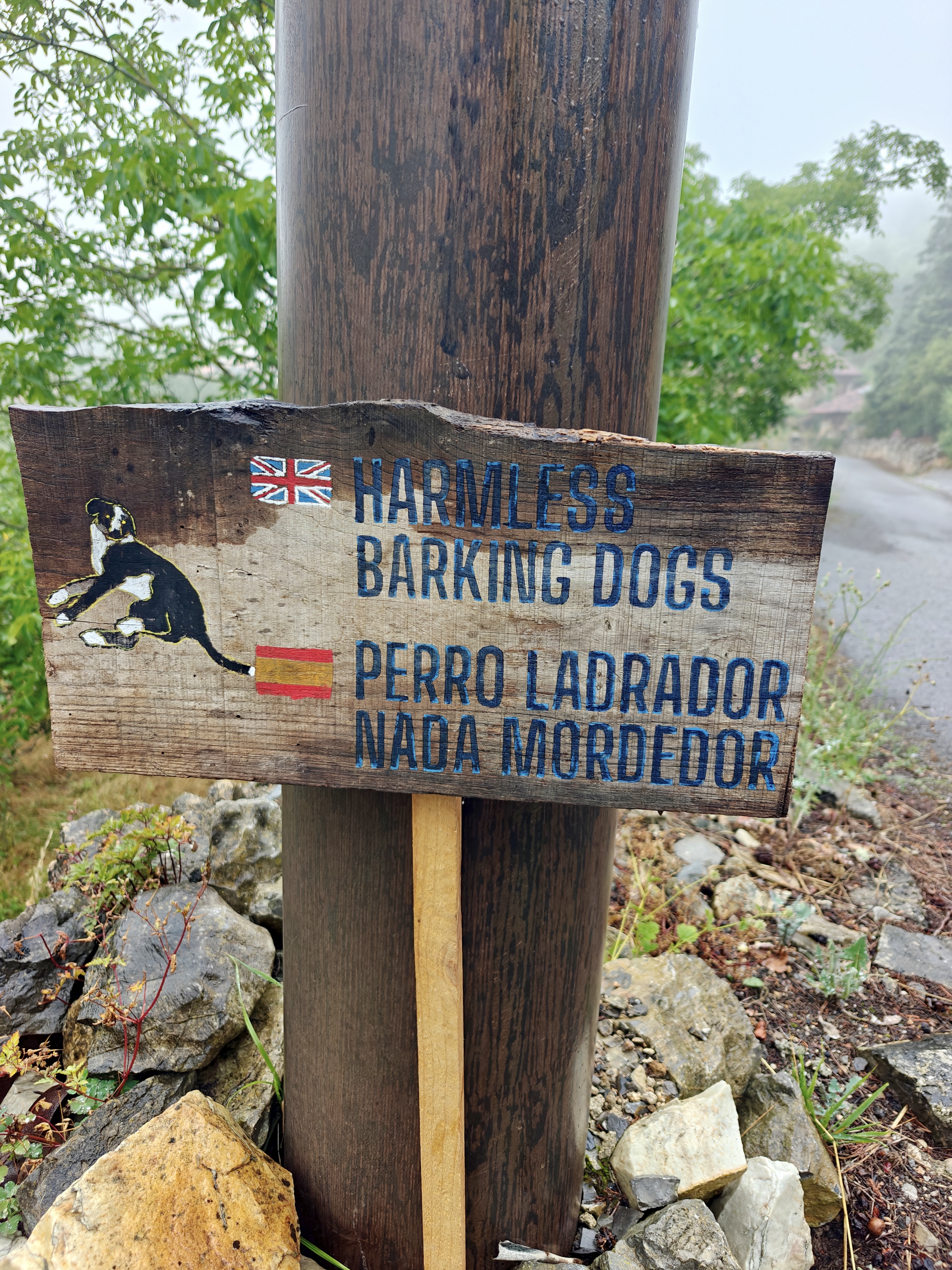 Dag 21 - San Juan de Villapañada 🥏 Bodenaya 9