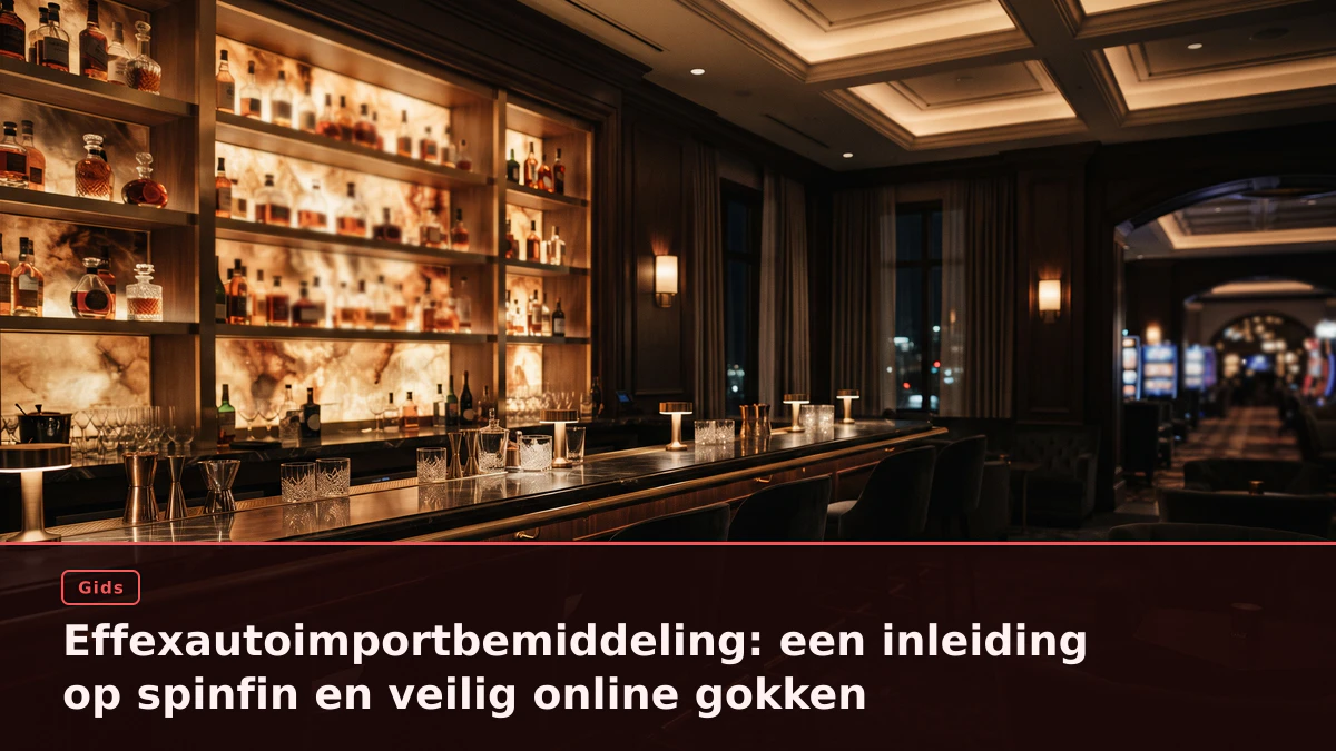Effexautoimportbemiddeling: een inleiding op spinfin en veilig online gokken