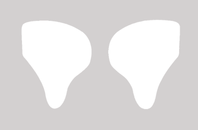 oslpag-sample
