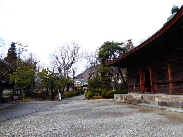IMG-2764.jpg