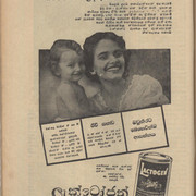 lactogen