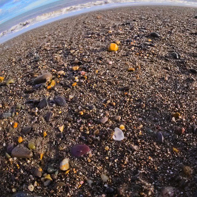 P1010082.jpg