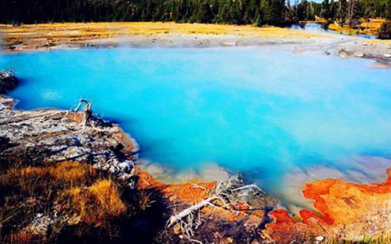 Unforgettable Yellowstone National Park Tours: Exploring Nature’s Masterpiece