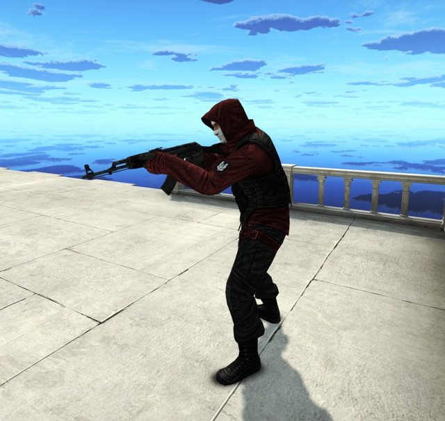 sas