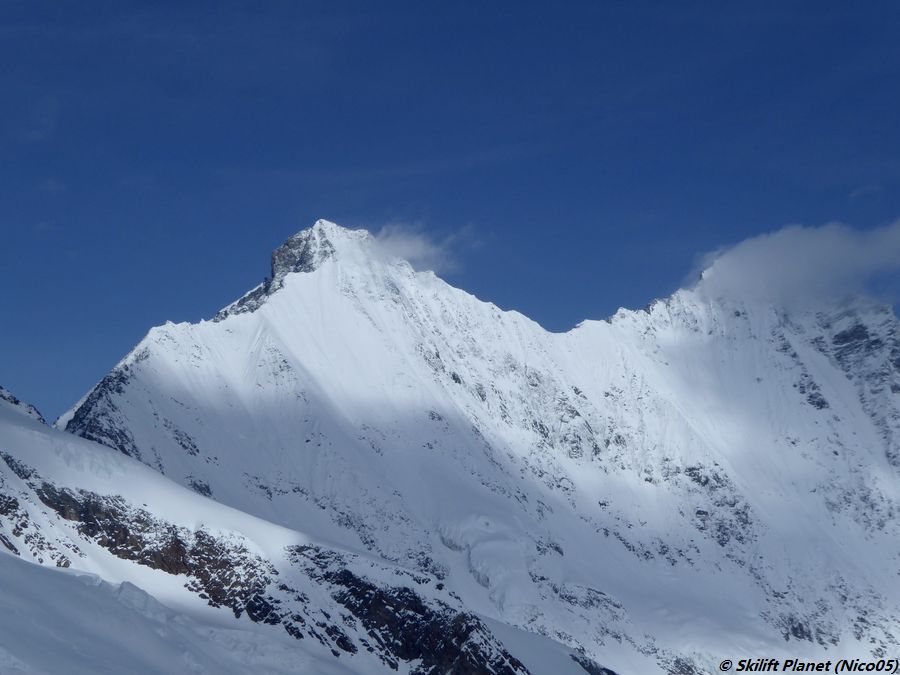 IMG-E4646.jpg