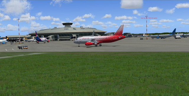 459.jpg