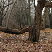 2009 год