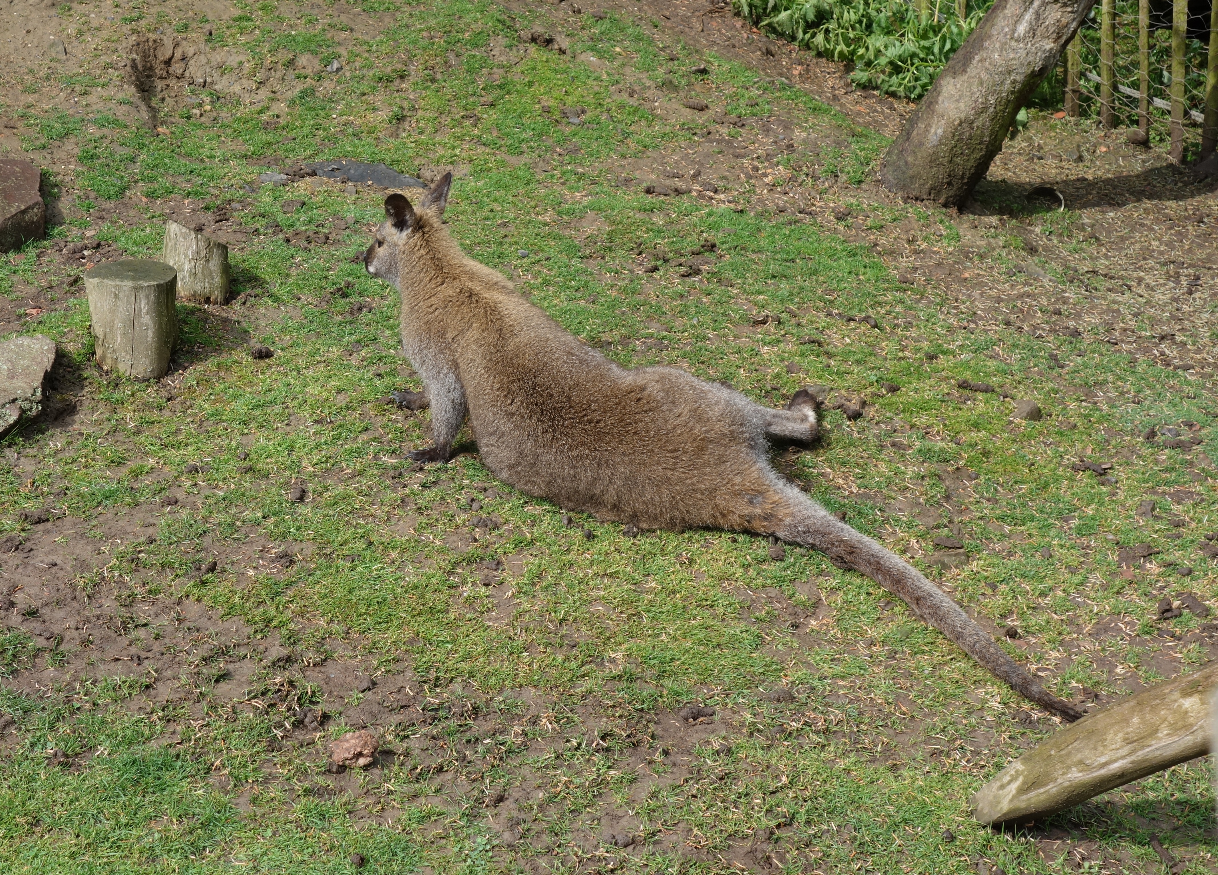 DSC00621
