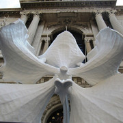 IMG-1830