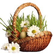 7caa3104e16e2d763582338f72aef59b.png