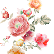 d9346214ce9ee721d0fbd5ec2e90256a-1