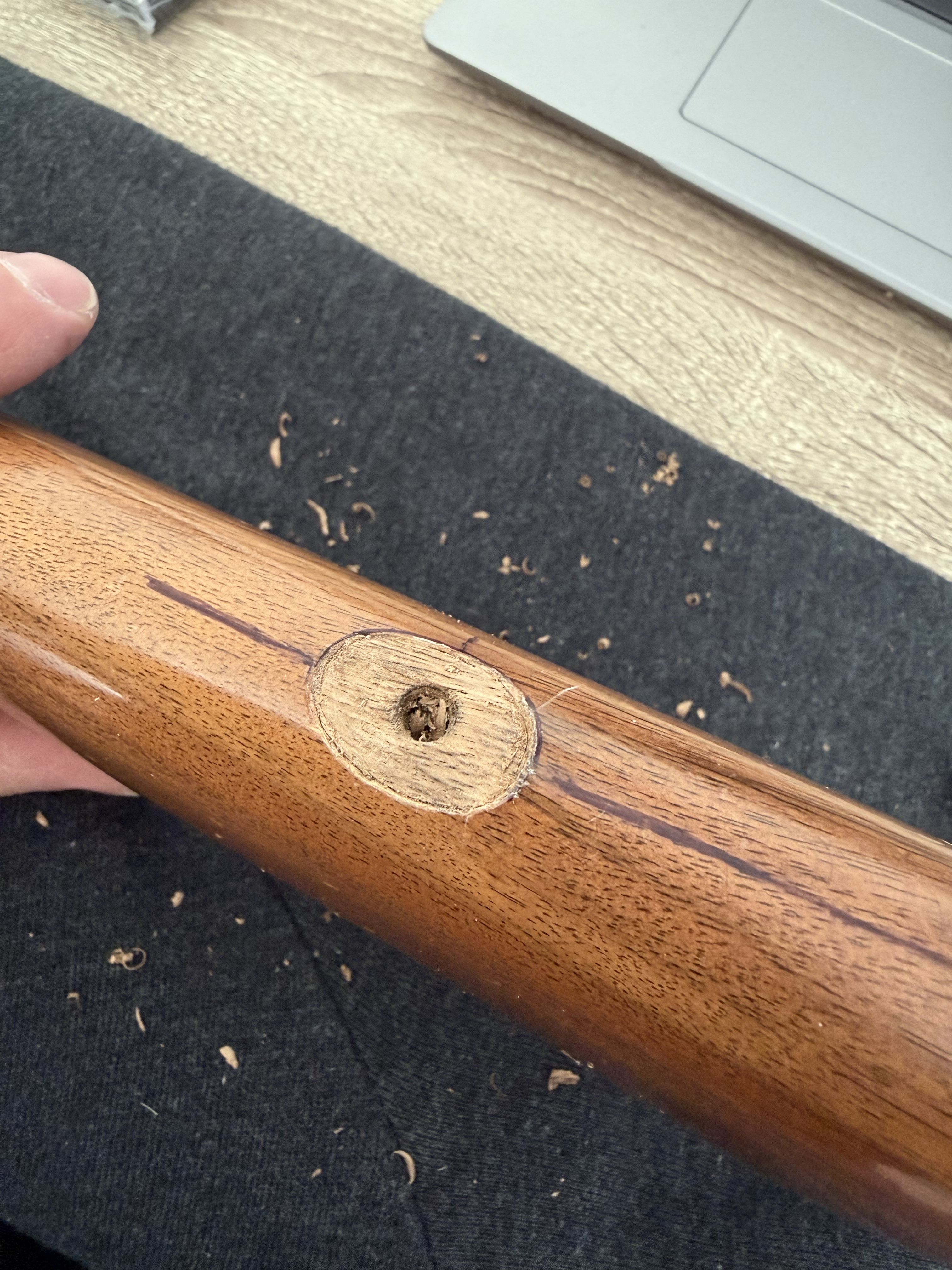 [Linked Image from i.ibb.co]