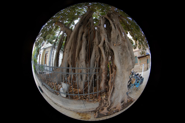 DSCF8980.jpg