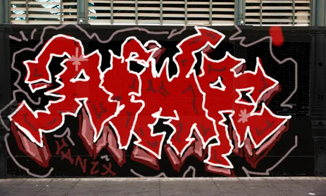 Graffiti artwork by danzx