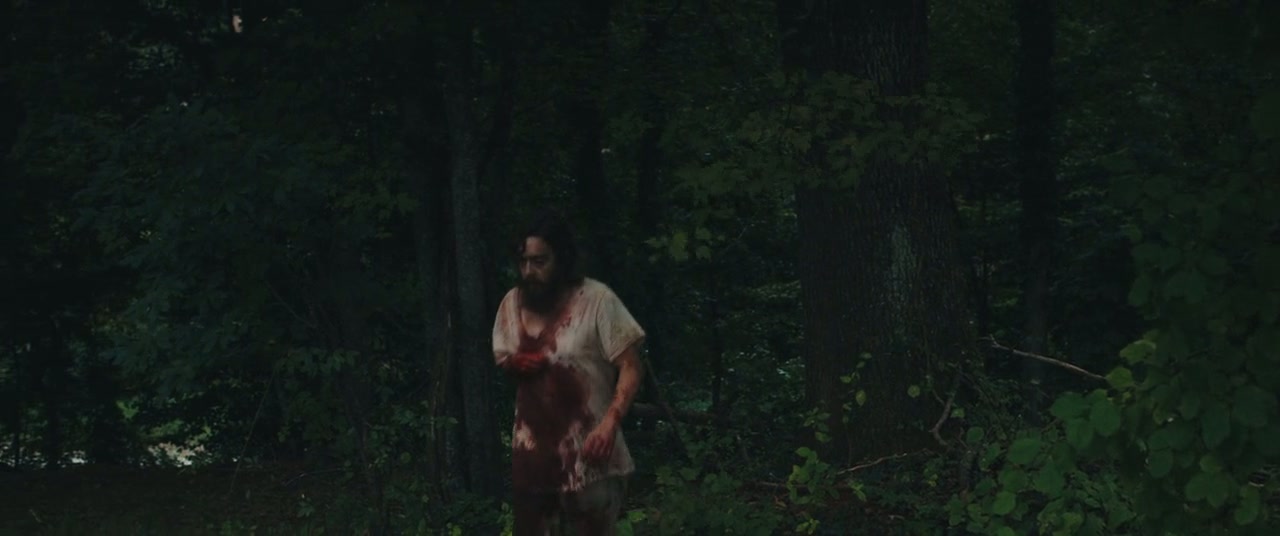 Blue Ruin Screenshot