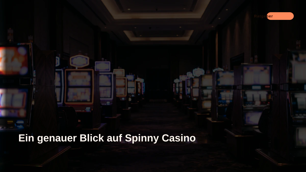 Ein genauer Blick auf Spinny Casino