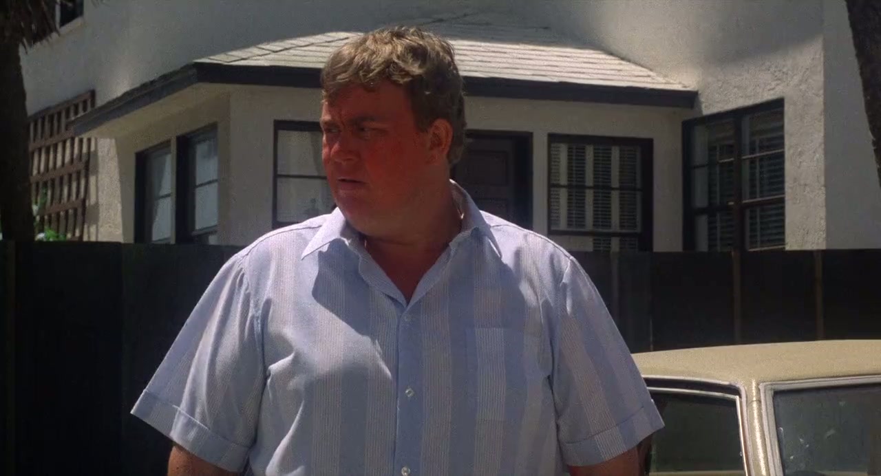 Summer Rental Screenshot