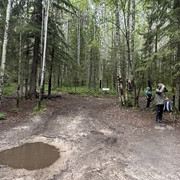 IMG 4778