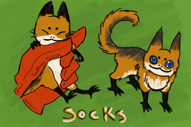 Socks