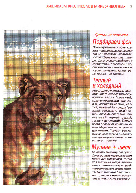 scan-9