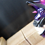 P1020920