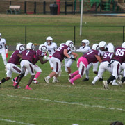 IMG-0201
