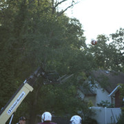 IMG-6632
