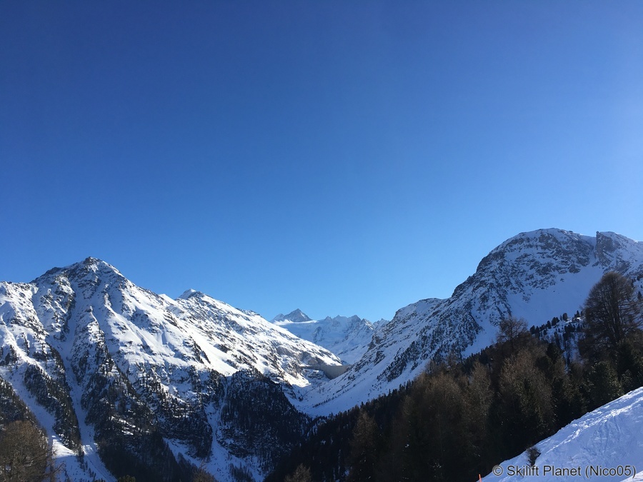 IMG-7884.jpg